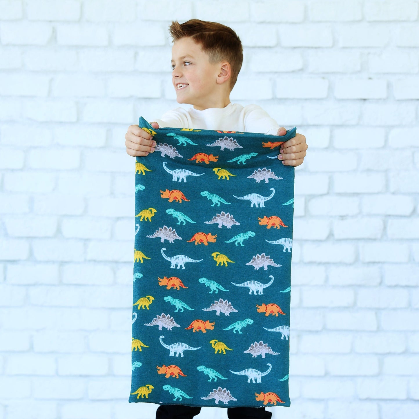 dinosaur print heat pad